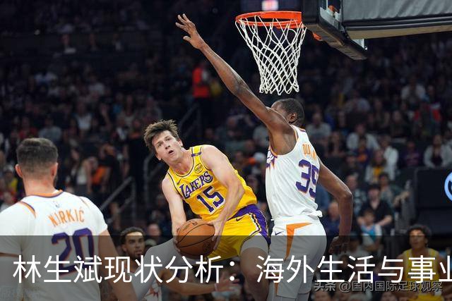 林生斌现状分析：海外生活与事业困境的双重考量