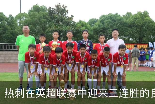 热刺在英超联赛中迎来三连胜的良机，范赫克头球破门助力领先