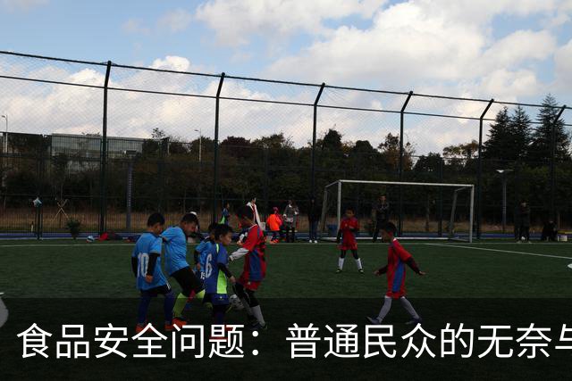 食品安全问题：普通民众的无奈与应对策略